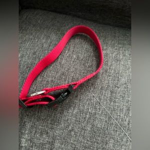 Jump dog collar